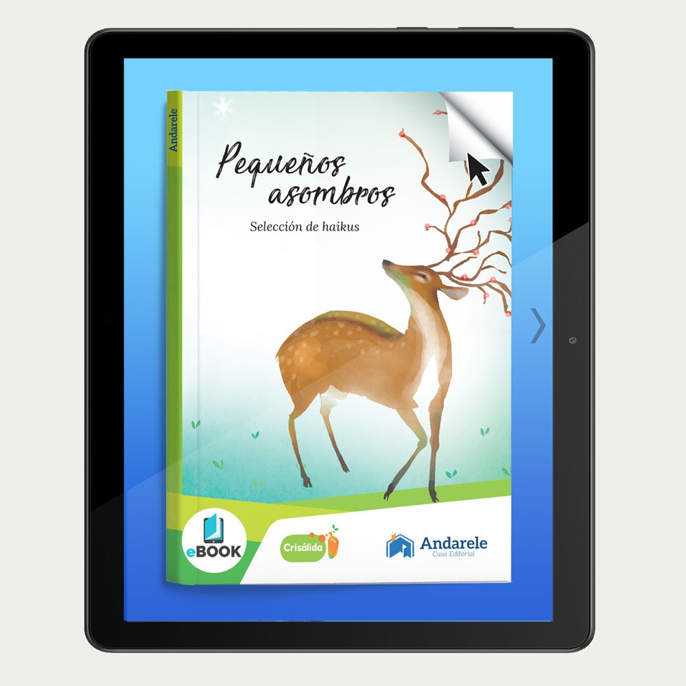 Pequeños asombros / Libro digital